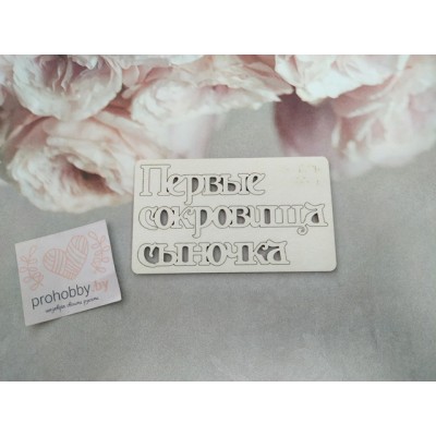 Чипборд "Первые сокровища сыночка"