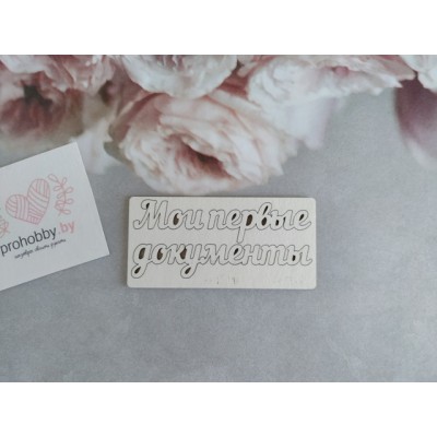 Чипборд "Мои первые документы"