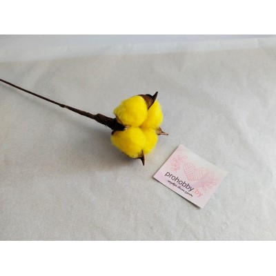 Сухоцвет "Хлопок" d=5 см, цвет жёлтый