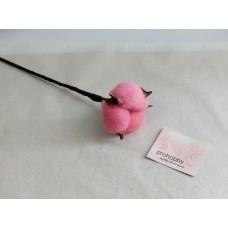 Сухоцвет "Хлопок" d=5 см, цвет розовый