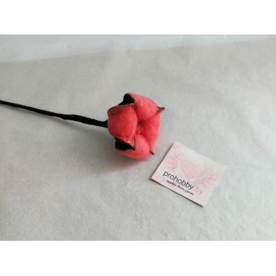 Сухоцвет "Хлопок" d=5 см, цвет коралловый