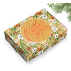 Коробка подарочная "Новогодняя ботаника", 21*15*5 см