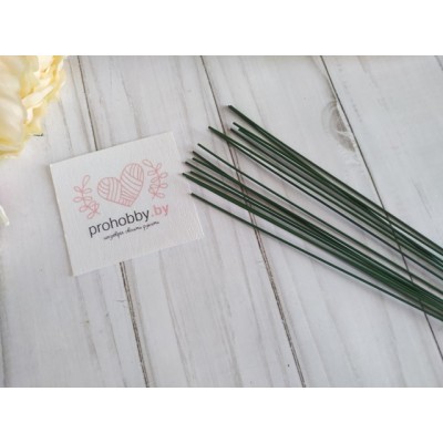 Проволока для изготовления искусственных цветов, 40 см, сечение 1 мм