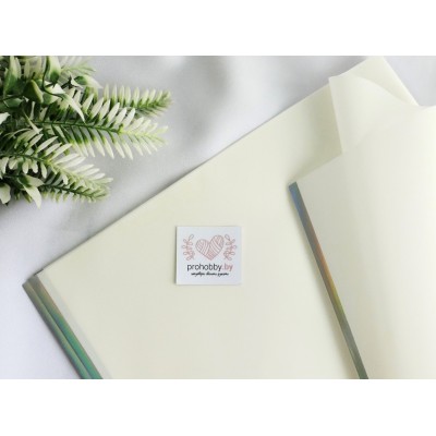 Плёнка для цветов матовая "Серебристый кант", 58*58 см, цвет белый/серебро